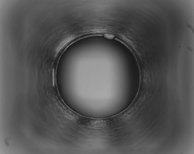 X0000101991171200807181141