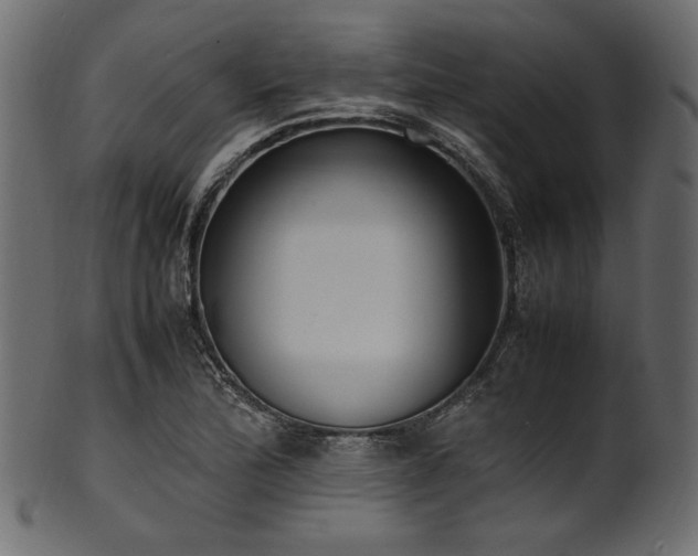 X0000101991172200807181141
