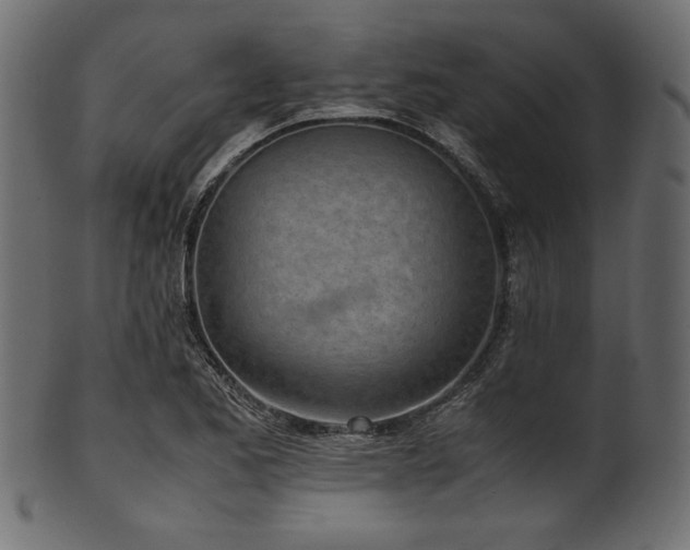 X0000101991173200807181141