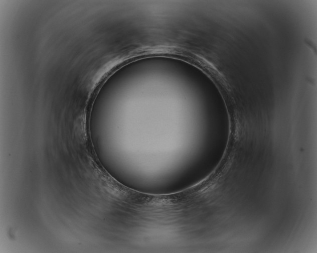X0000101991174200807181141