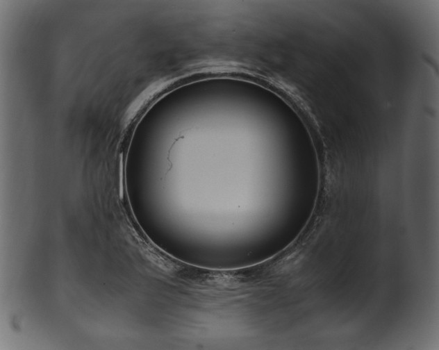 X0000101991175200807181141