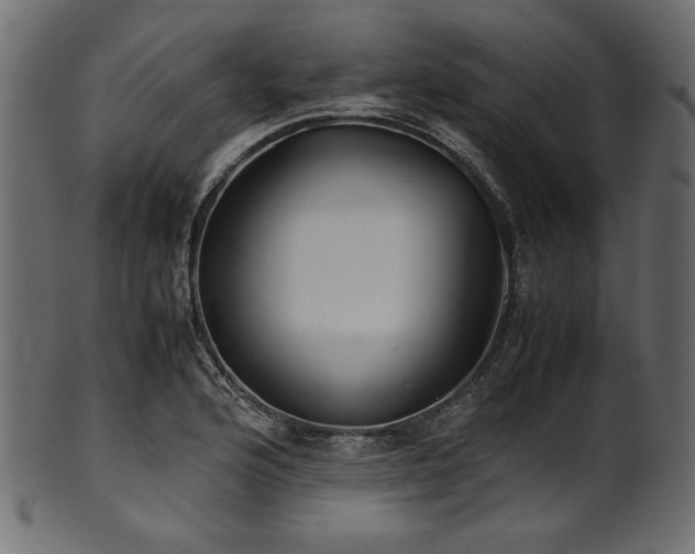 X0000101991176200807181141