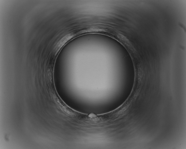 X0000101991177200807181141