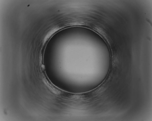 X0000101991179200807181141