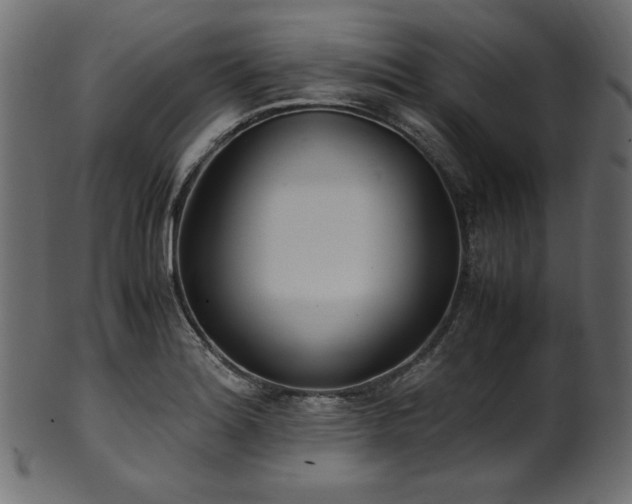 X0000101991180200807181141