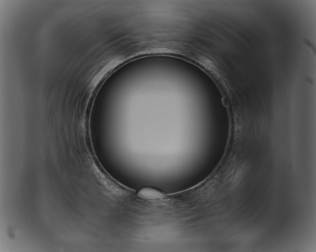 X0000101991181200807181141