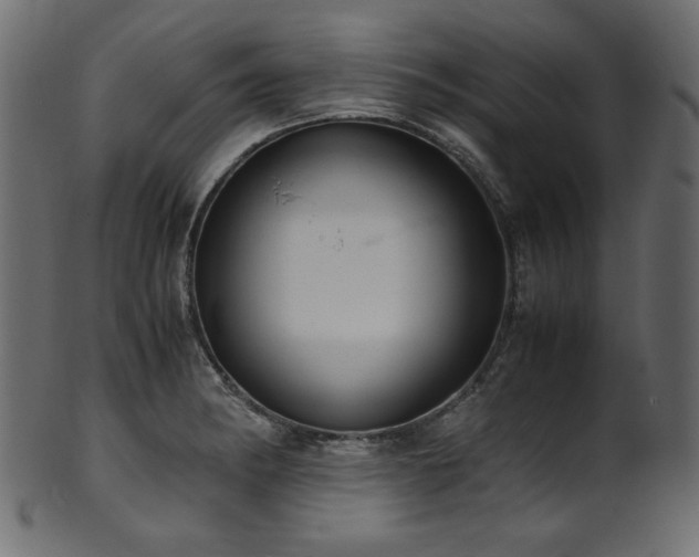 X0000101991182200807181141