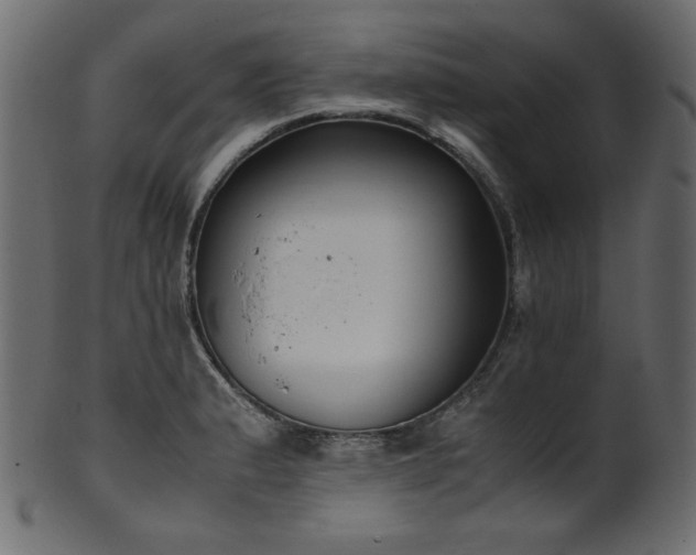 X0000101991183200807181141