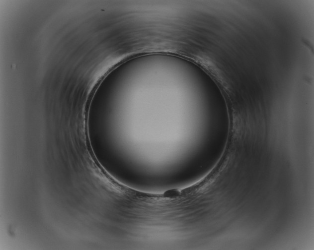 X0000101991184200807181141