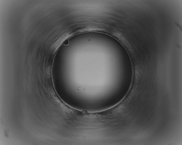 X0000101991185200807181141