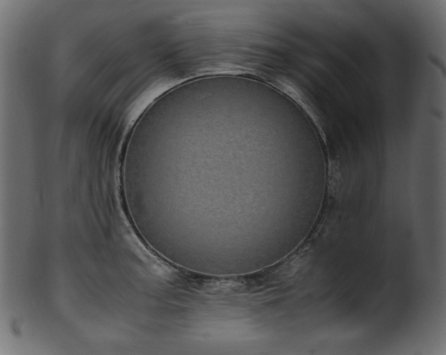 X0000101991187200807181141