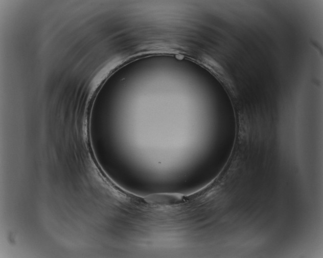 X0000101991188200807181141