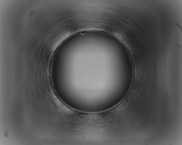 X0000101991189200807181141