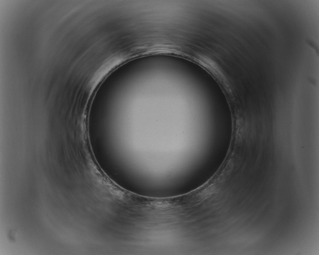 X0000101991190200807181141