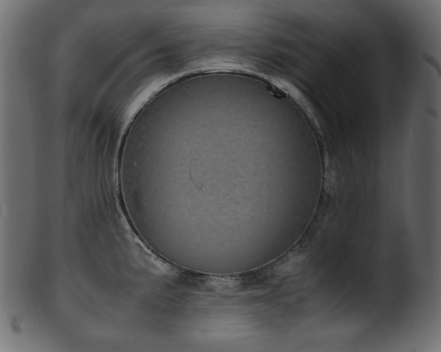 X0000101991191200807181141