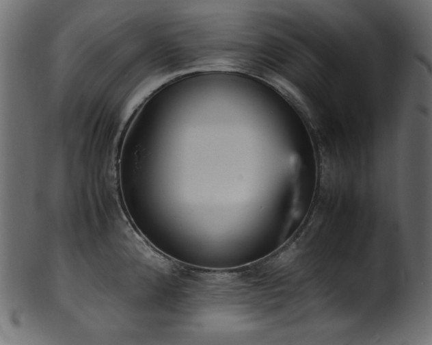 X0000101991192200807181141