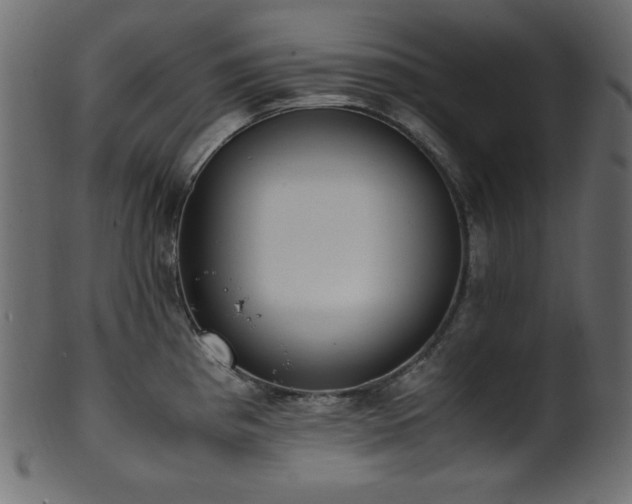 X0000101991193200807181141
