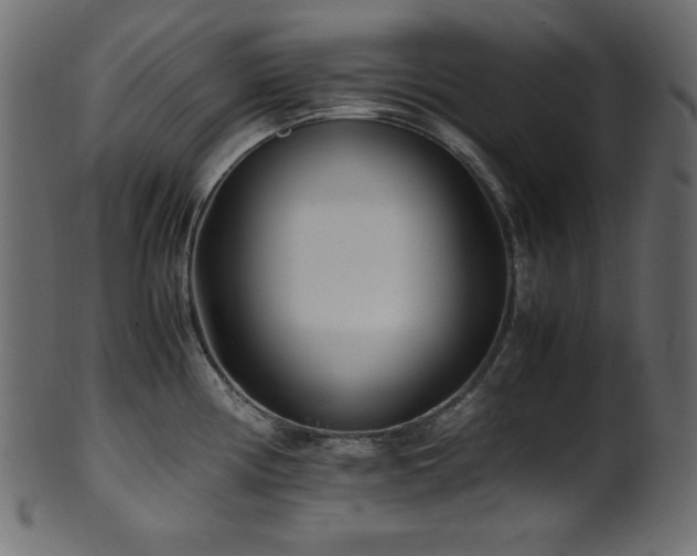 X0000101991194200807181141