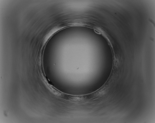 X0000101991195200807181141