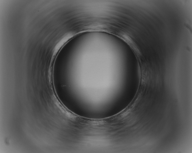 X0000101991196200807181141