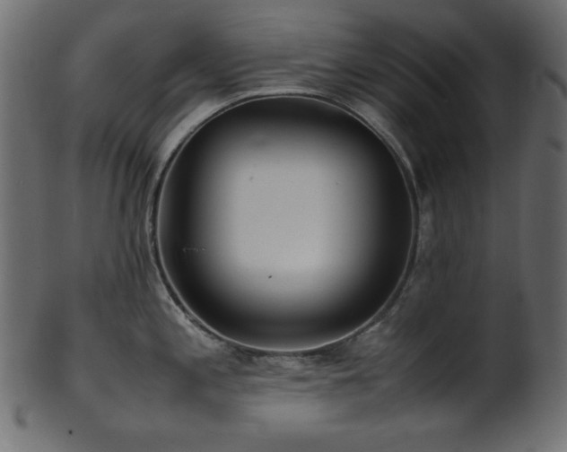 X0000101991197200807181141