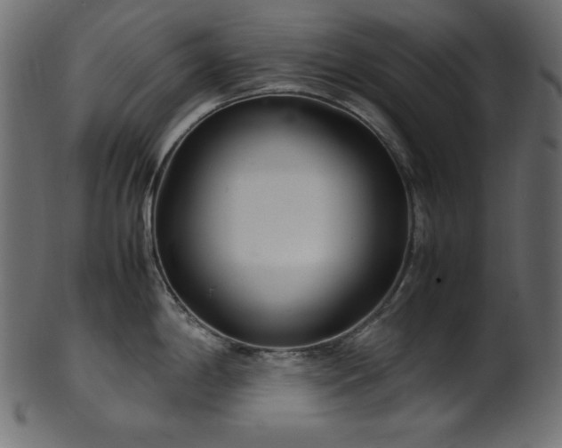 X0000101991198200807181141