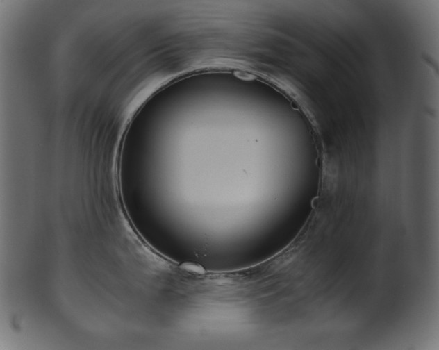 X0000101991199200807181141