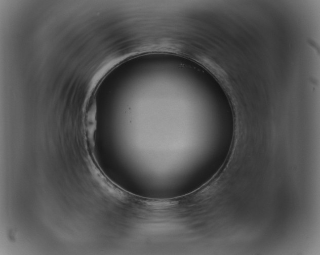 X0000101991200200807181141