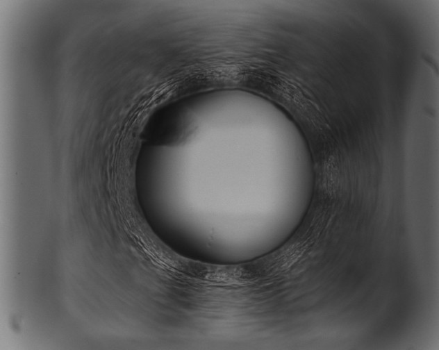 X0000101991201200807181140