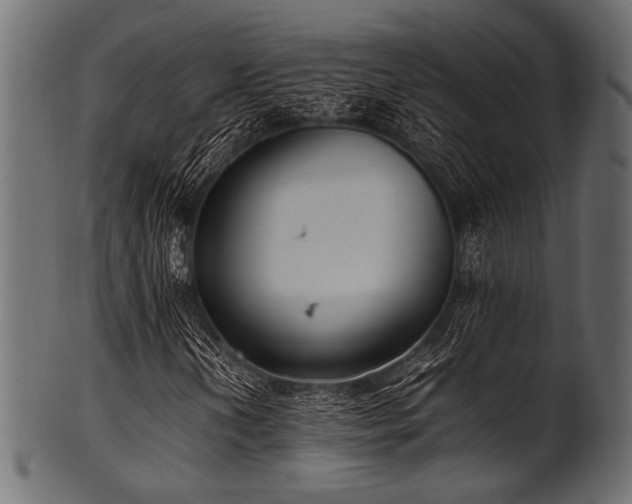 X0000101991202200807181140