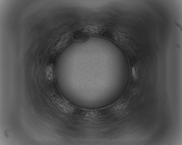 X0000101991203200807181140