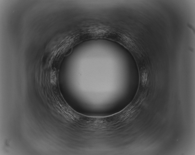 X0000101991204200807181140