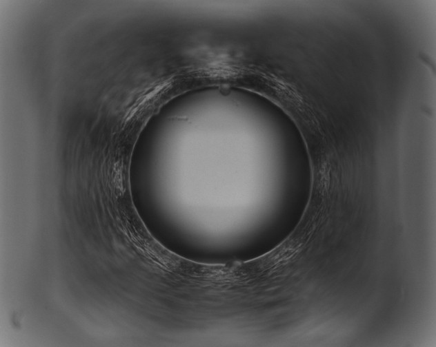 X0000101991205200807181140