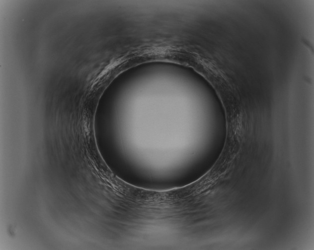X0000101991206200807181140