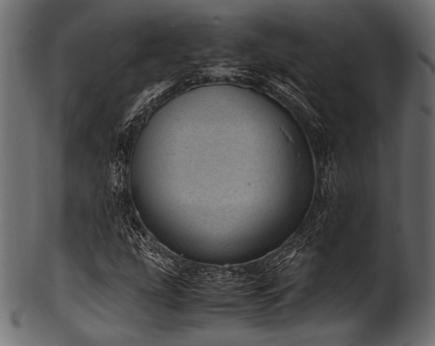 X0000101991207200807181140