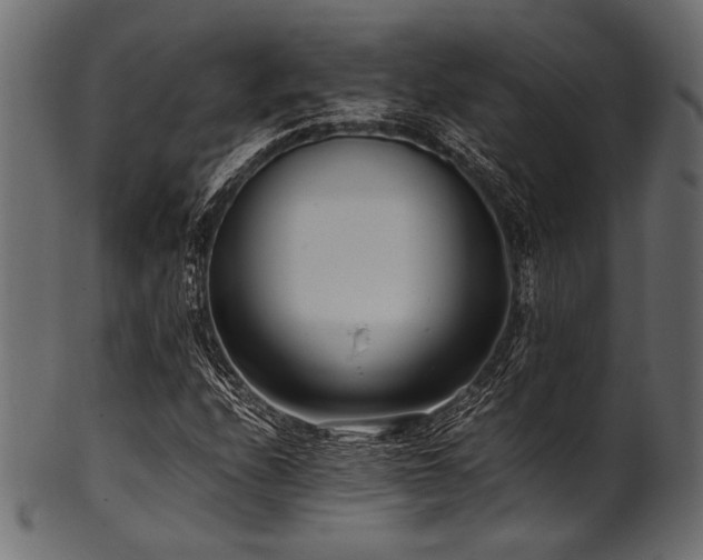X0000101991208200807181140