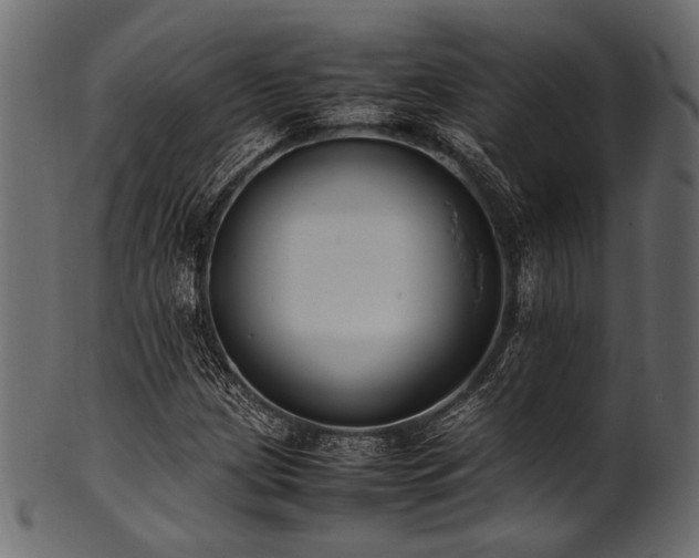 X0000101991209200807181140