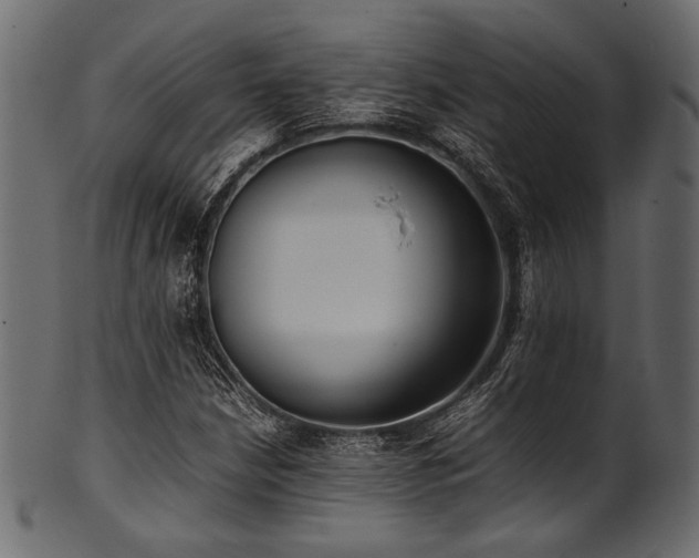 X0000101991210200807181140