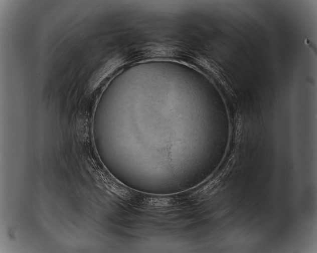X0000101991211200807181140