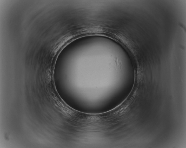 X0000101991212200807181140