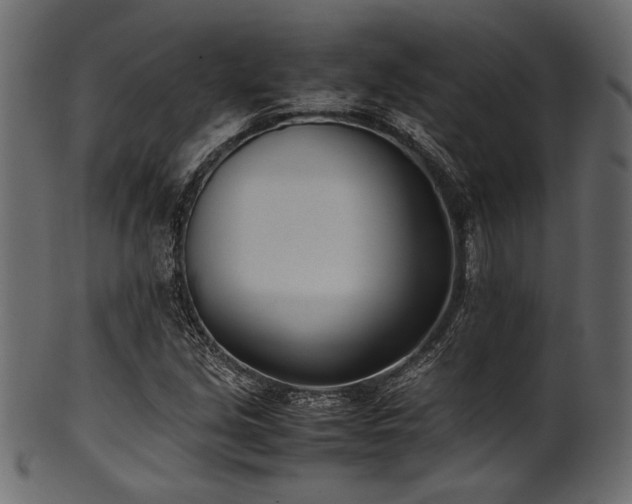 X0000101991213200807181140