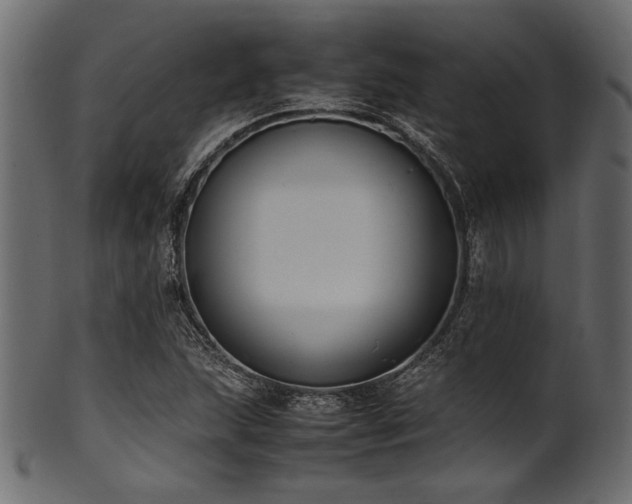 X0000101991215200807181140
