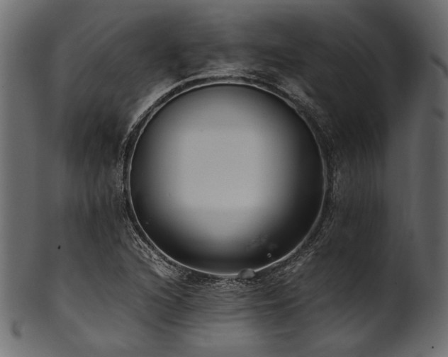 X0000101991216200807181140