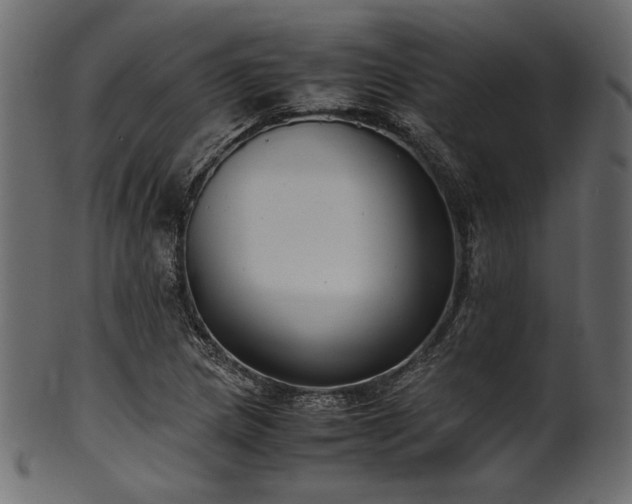 X0000101991217200807181140