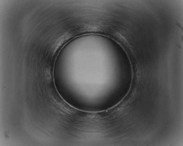 X0000101991218200807181140
