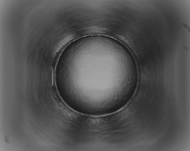 X0000101991219200807181140