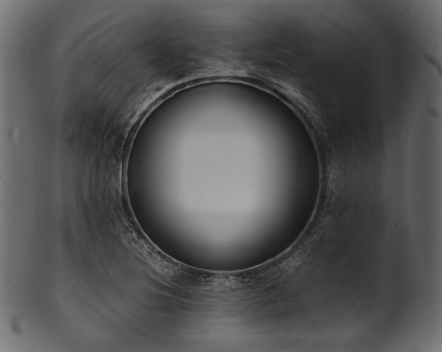 X0000101991220200807181140