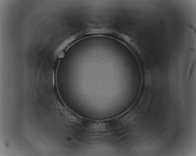 X0000101991221200807181140