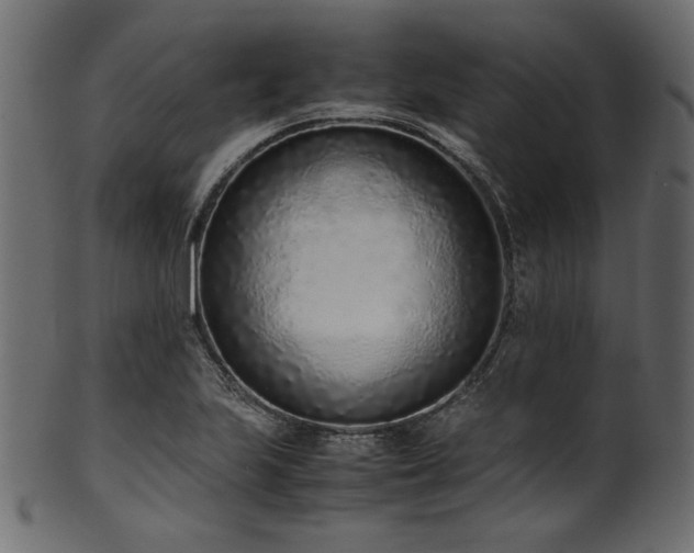 X0000101991223200807181140
