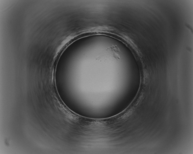 X0000101991224200807181140